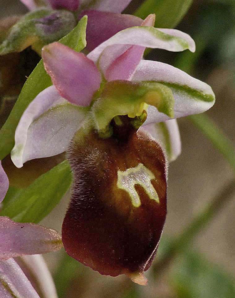 Poezdda jinsiy aloqa porus ru